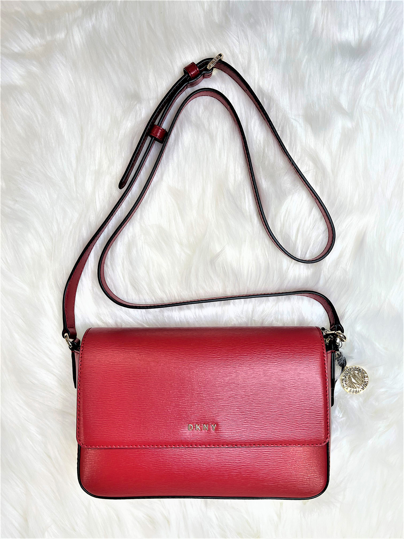 Donna Karan DKNY Bryant Demi Crossbody Bag in Burgundy Leather