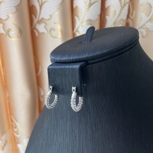 Fine Silver Plated Allover Crystal  Hoop Earrings